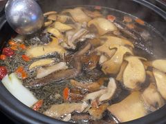 -滇野云南野生菌餐厅(陕西南路店)