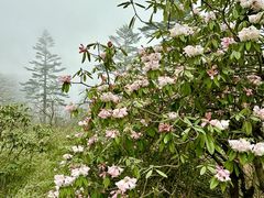 -瓦屋山景区