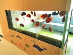 -杭州贝瑞斯美华妇儿医院·早孕·产检·儿科