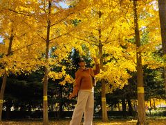 -大兴滨河森林公园