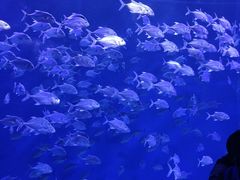 -波塞冬旅游度假区