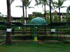 -西双版纳融创皇冠假日度假酒店