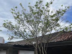 -农家小院土菜馆(斩坑桥店)