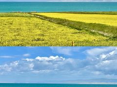 -青海湖国家重点风景名胜区