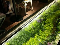 -炭舍干锅·烤鱼(扬名广场店)