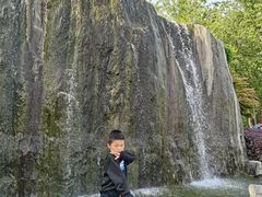 -合肥滨湖国家森林公园