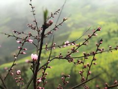 -石潭村