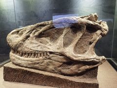 -自贡恐龙博物馆