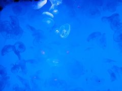 -沈阳海洋探索中心