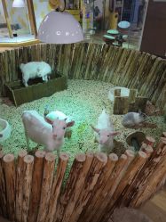 点击看大图 -七巧国萌宠乐园(龙湖天街店)
