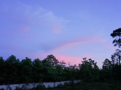 -象山森林公园