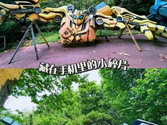 -黔灵山公园