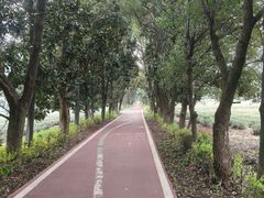 -宜兴龙背山森林公园