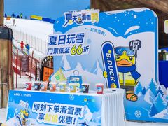 -奈雪的茶(广州万菱汇PRO店)