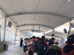 -厦门邮轮中心厦鼓码头(轮渡站)