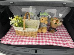 -上海浦东smart汽车全功能店(金桥店)