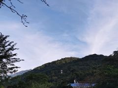 -海南霸王岭国家森林公园