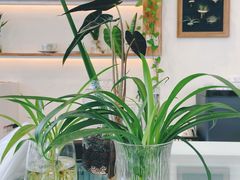 -绿小院(荔湾店)