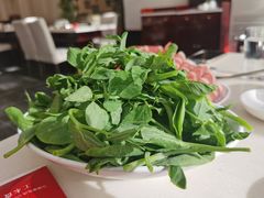豌豆尖儿-太婆天府山珍酒楼(亚运村店)