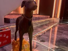 -斯卡拉演艺集团