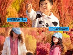 -天津东丽湖风景区