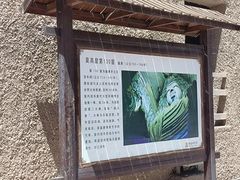 -敦煌莫高窟