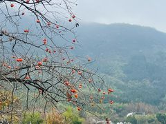 -塔川景区