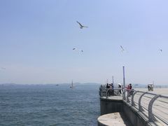 景点-东港音乐喷泉广场