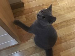 -壹人壹像工作室(购物公园店)