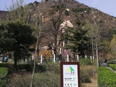 -北京鹫峰国家森林公园
