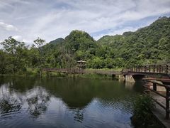 -五泄景区