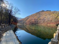-龙道沟景区