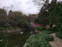 -叶家花园