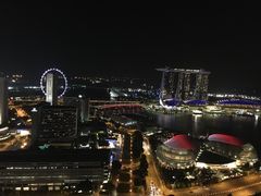 -新加坡瑞士史丹福酒店