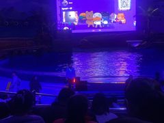 -海合安武汉极地海洋公园