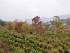 -塔川景区