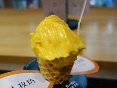 -野人先生现做冰淇淋(西安赛格店)