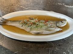 -扬州狮子楼·非遗淮扬菜(东关街店)