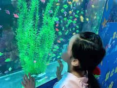 -沙沙哗啦海洋馆(华宇百花谷店)