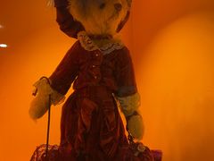 -济州岛泰迪熊博物馆