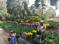 -广州市流溪河国家森林公园