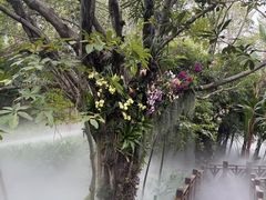 -厦门园林博览苑