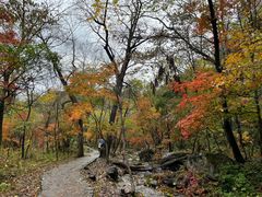 -玉渡山自然风景区