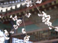 -颐和园