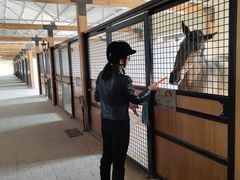 -北京群众马术培训基地