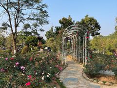 -东莞植物园