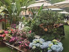 -山水茶艺馆·点心粤菜·30年老字号