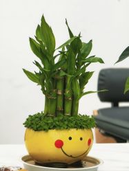 -原素造型