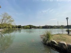 -新洲生态园