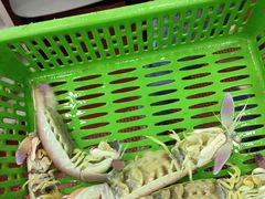 -船奇蒸汽海鲜·闽菜(八市海鲜总店)